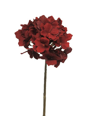 Hortenzie - Hydrangela Angel červená/ burgundy 48cm