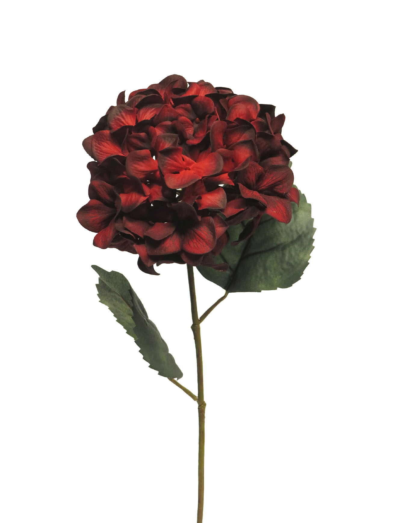Hortenzie - Hydrangea spray royal červená 69cm