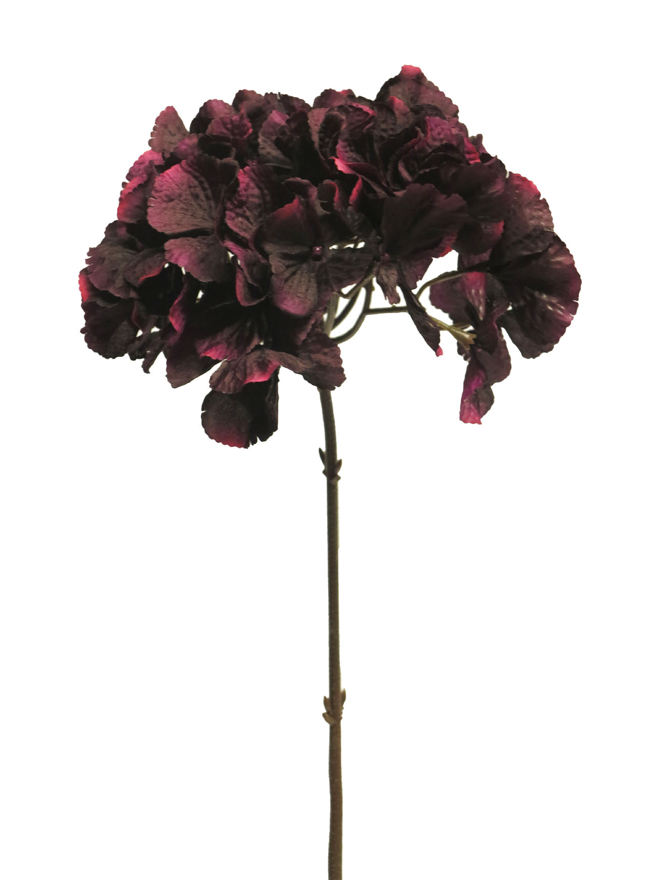 Hortenzie - Hydrangea spray Sophia aubergine/červená 73cm