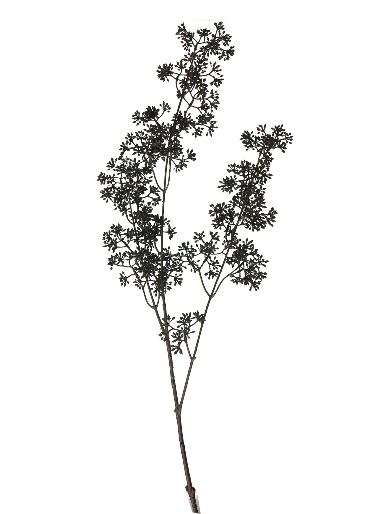 Mini seed spray černý 114cm