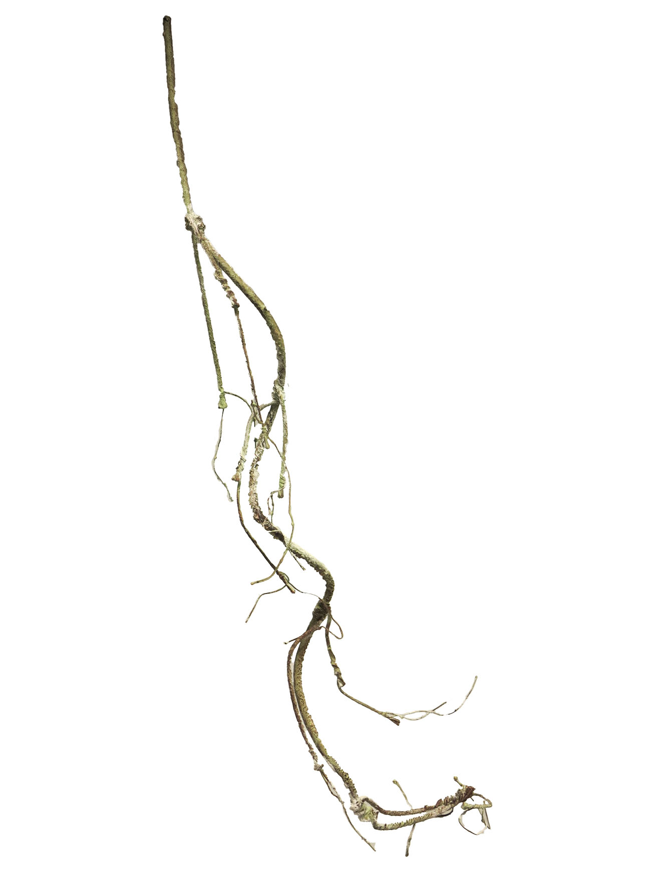 větvička snih - Twig branch snow 120cm