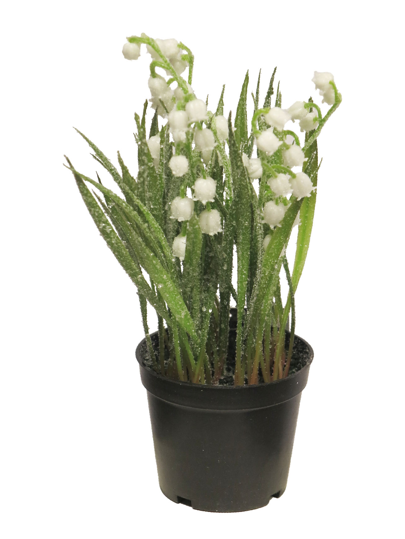 Lilly of the valley in pot green v21 cm