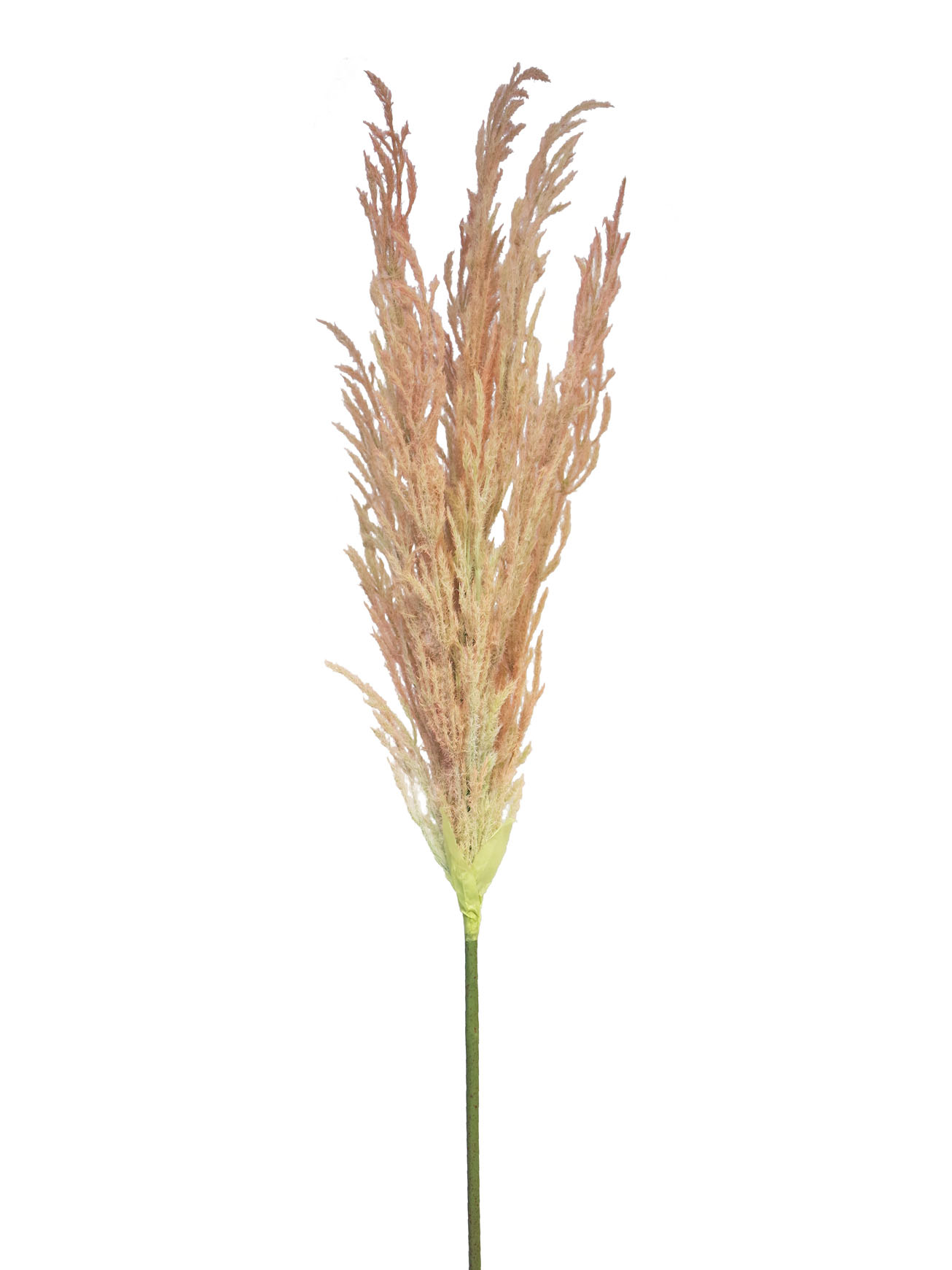 Rákos - Reed spray růžový V124 cm