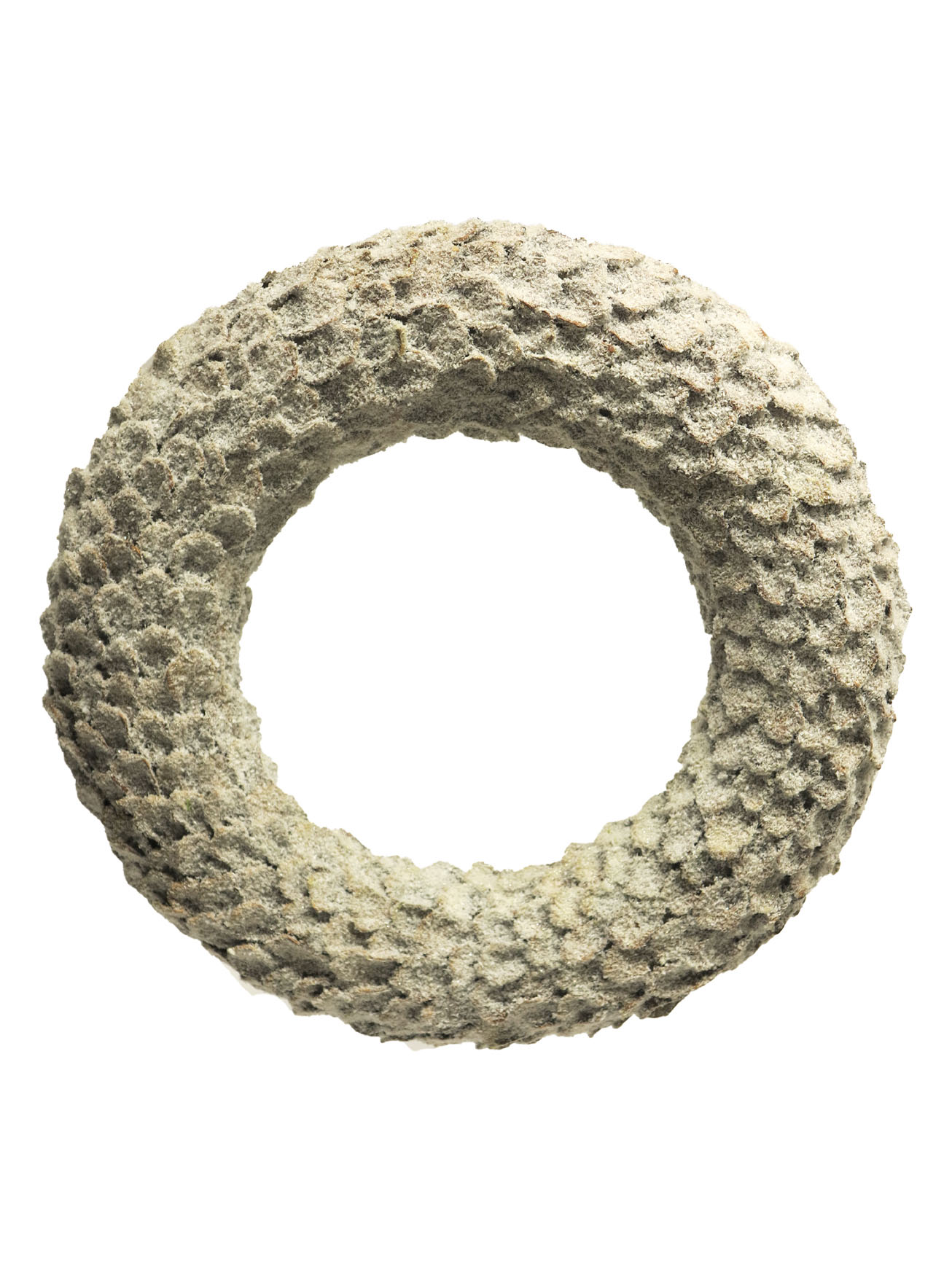 Pine cone wreath snow 55cm