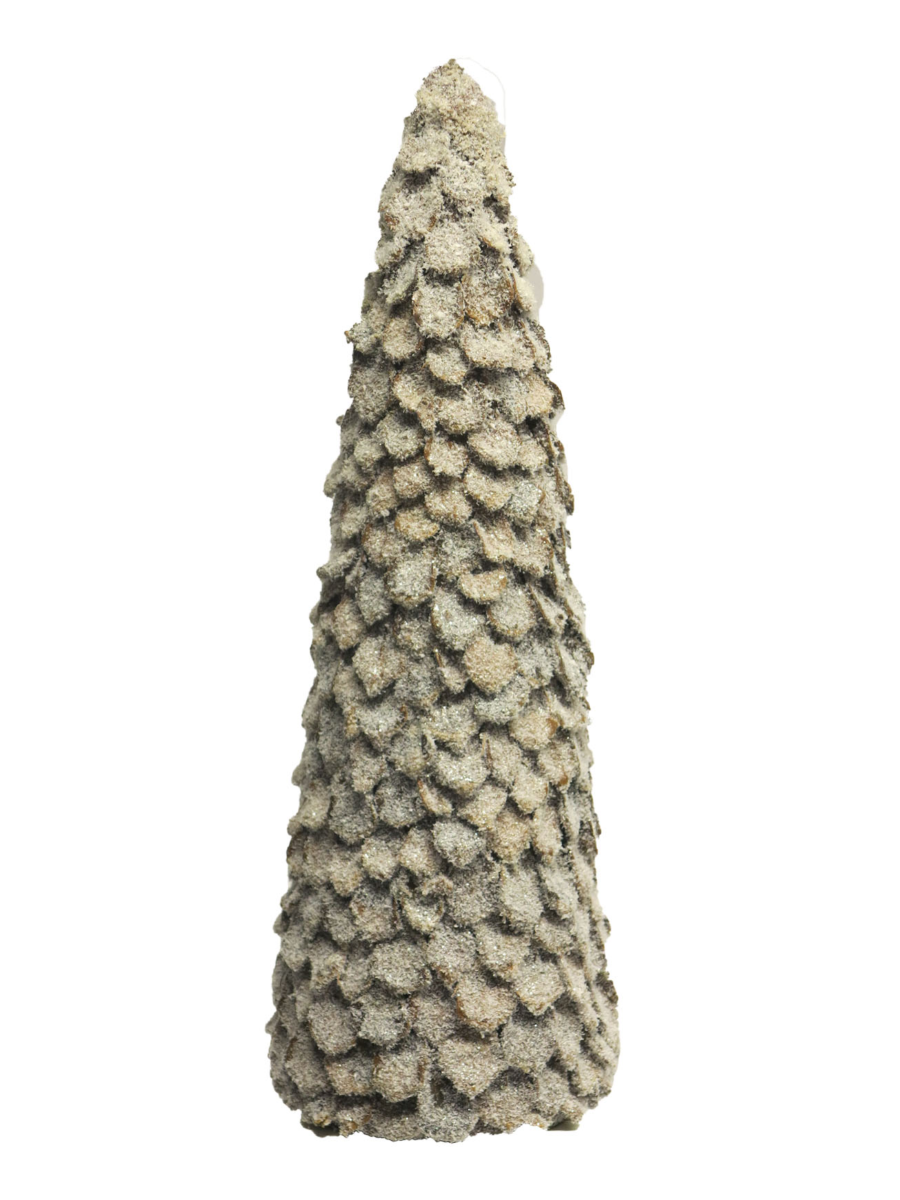 pine cone tree snow 50cm