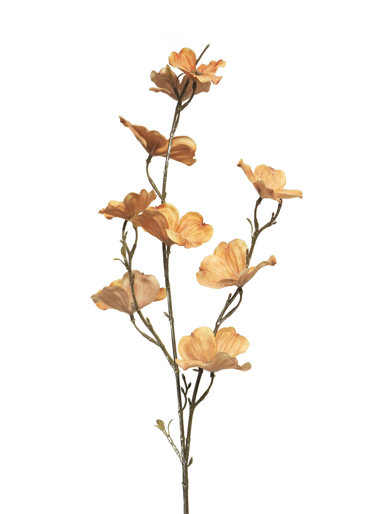 PSO Dogwood spray Olda iced oranžový 84cm