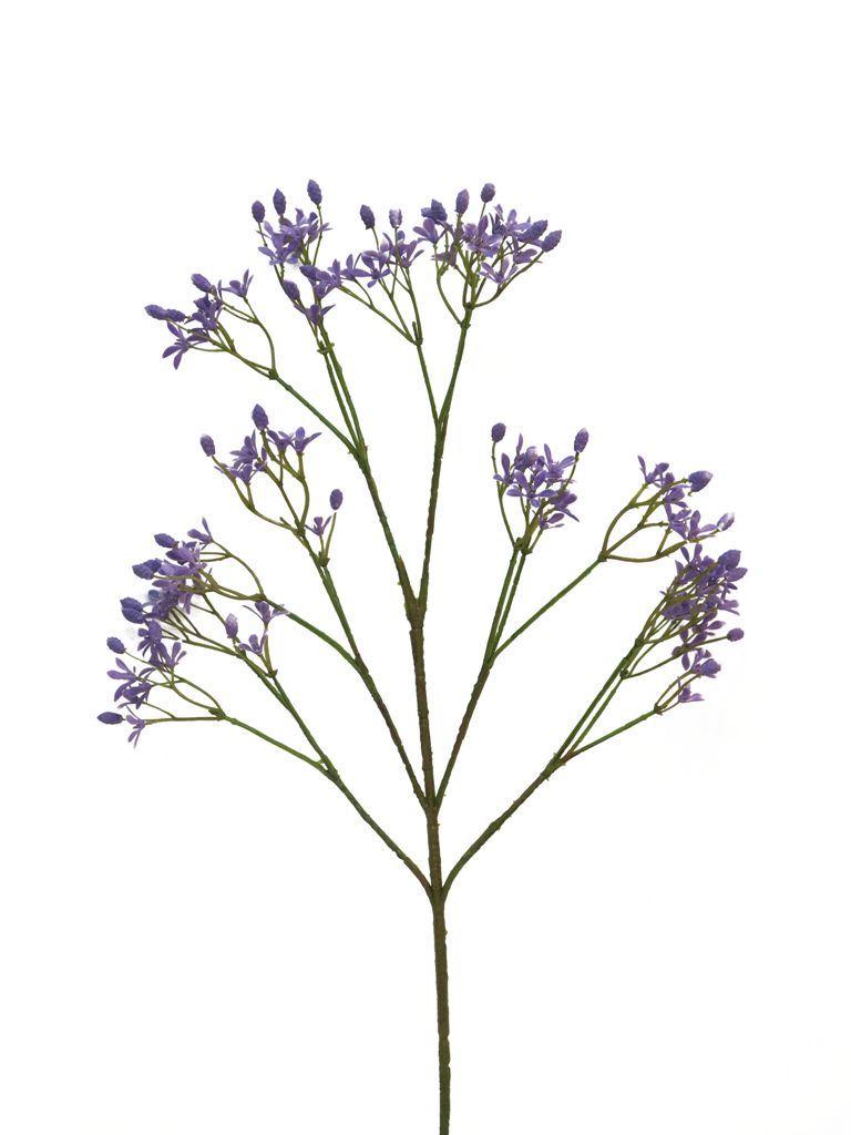 Levandule - Allysum Conlie levander fialová  63cm