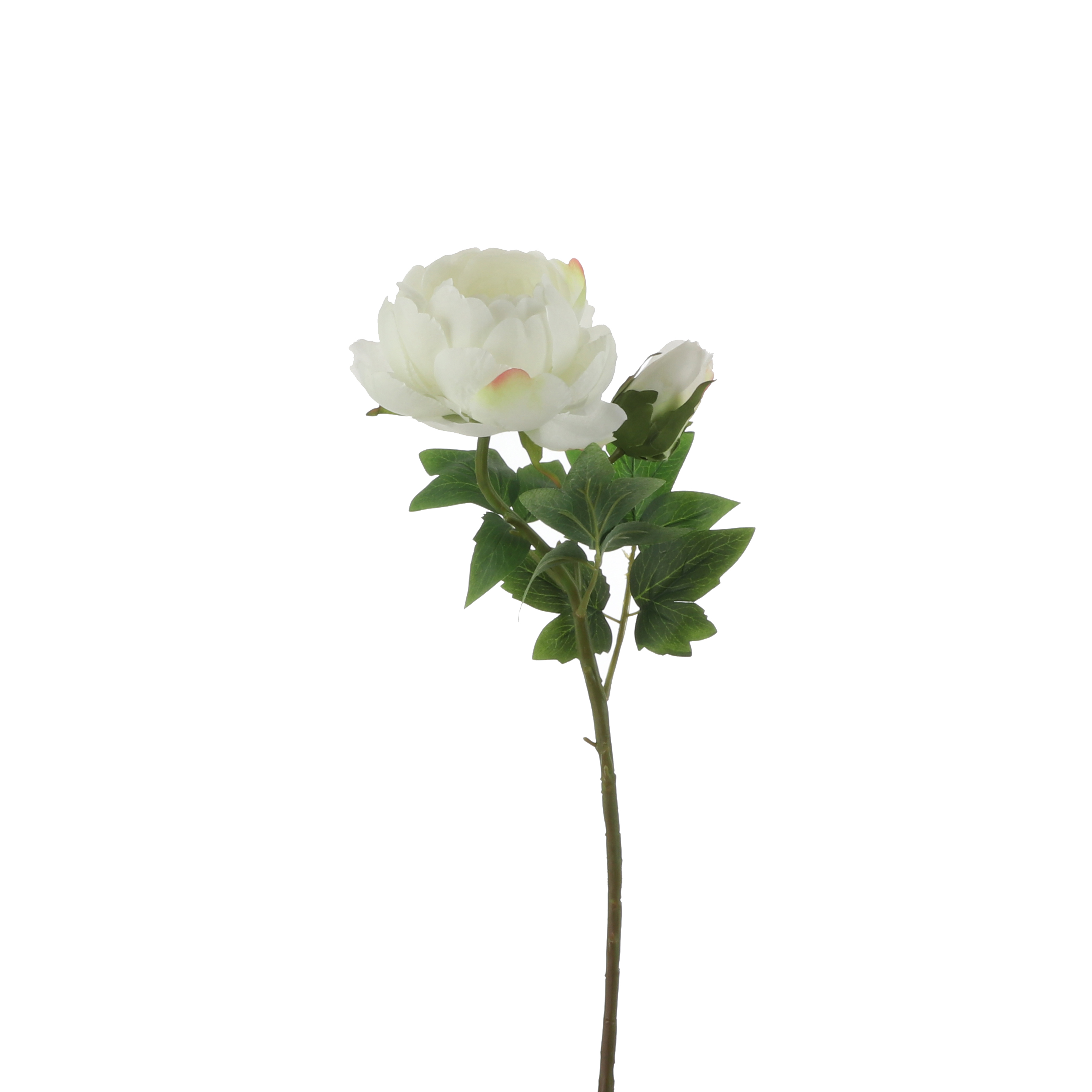 Pivonka - Peony bilá v62cm