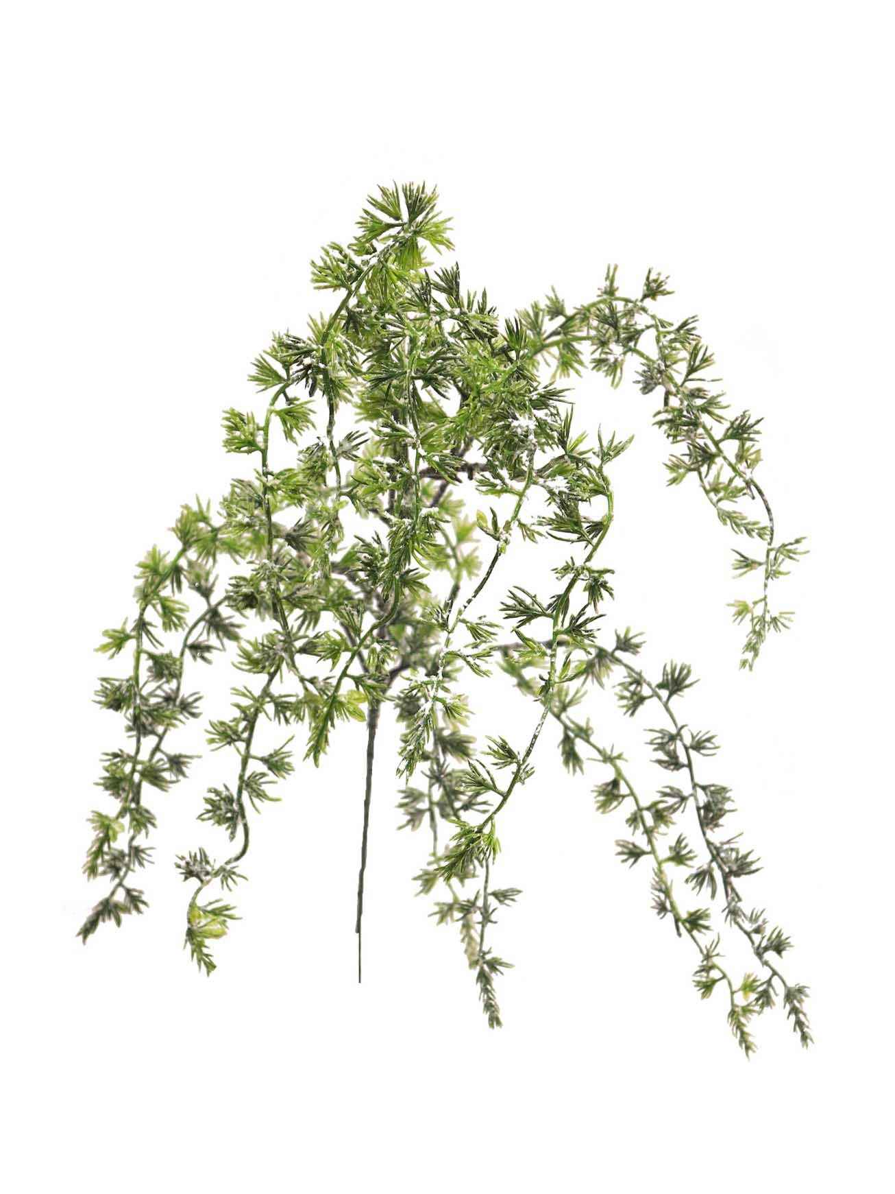 modřín větev - Larix spray iced 88cm