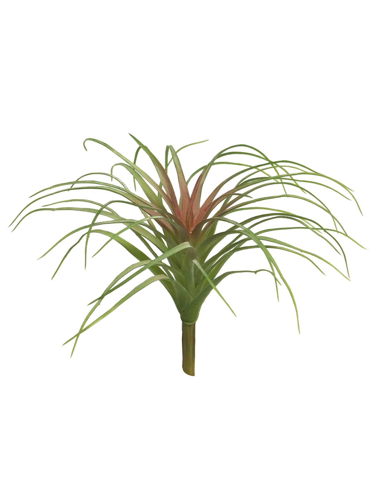 Kykatka - Tilandsie / Tilandsia pick Hutan zelená/červená V25 cm
