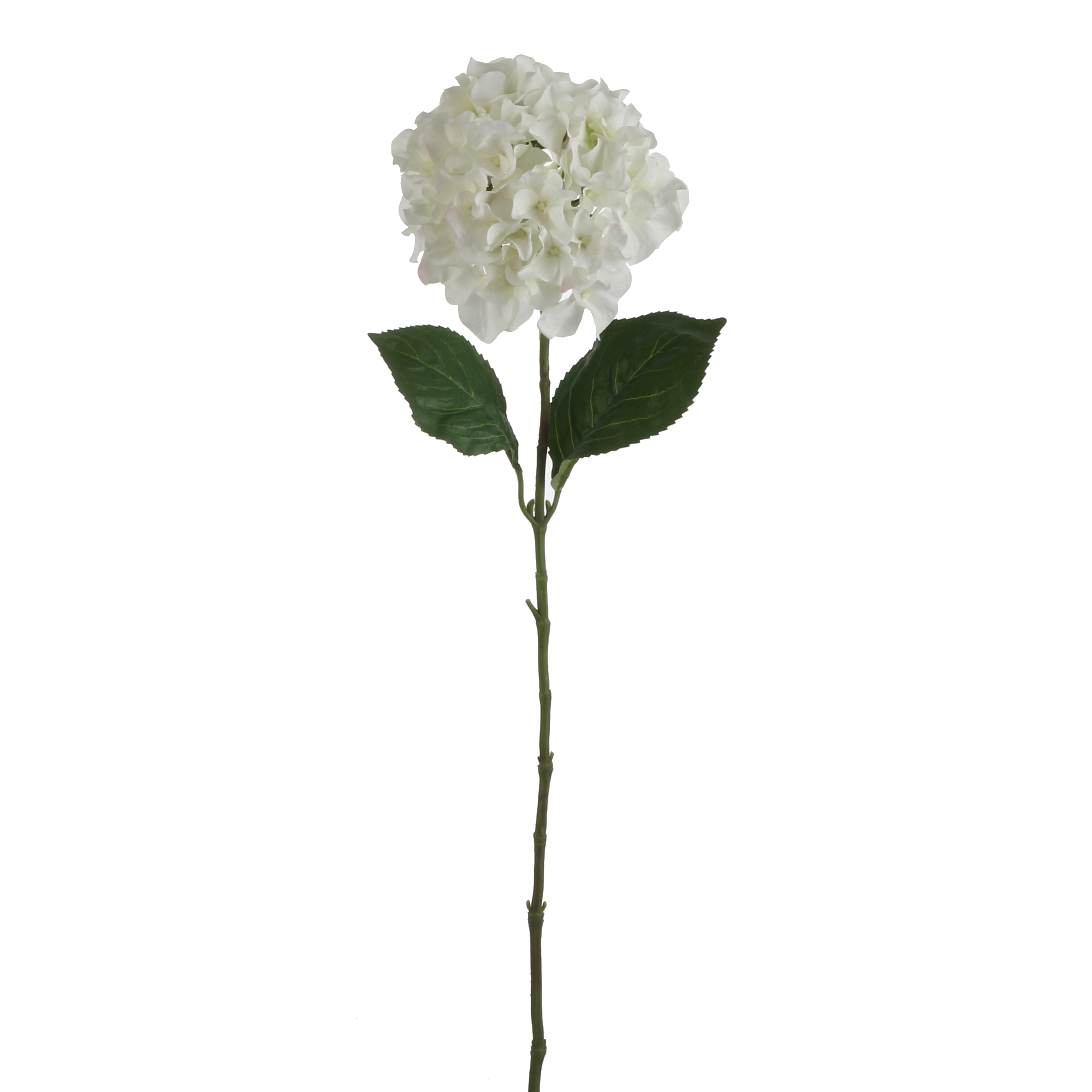 Hortenzie - Hydrangea bilá / krémová 77cm