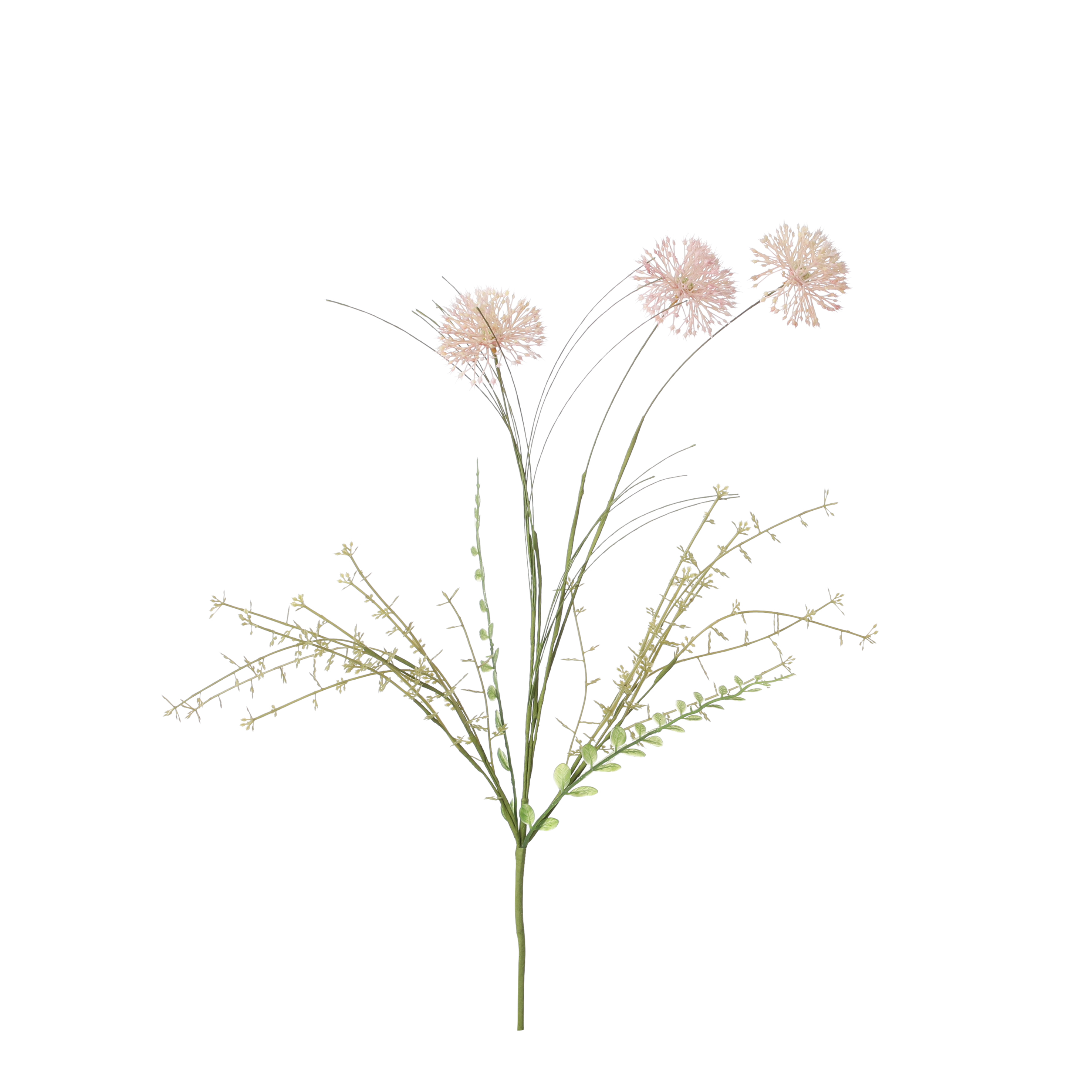 Dried-look allium pink 60x15cm