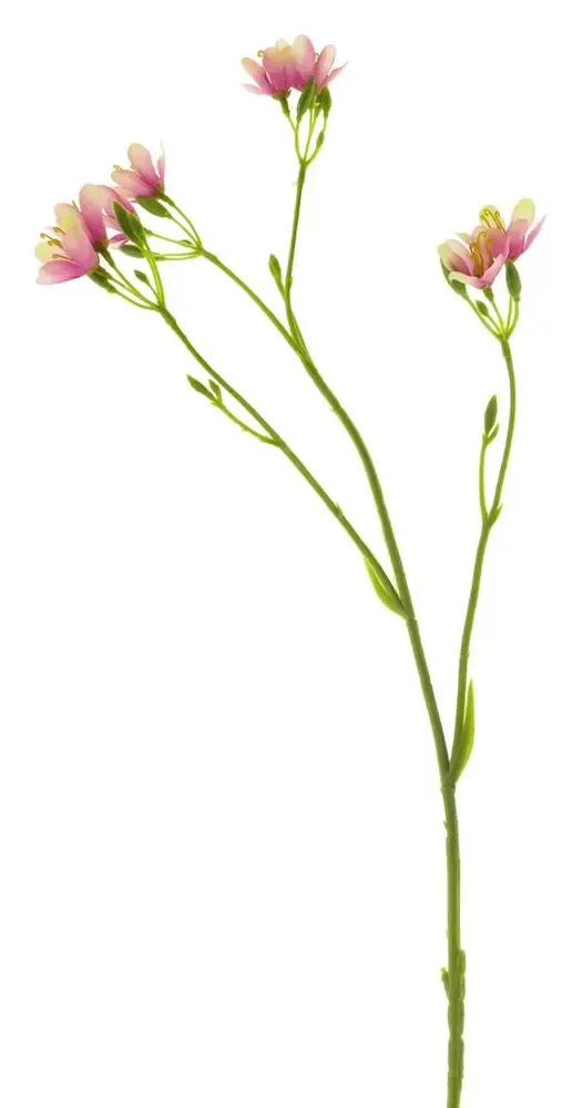 Baby blossom větev mauve/fialová V62 cm