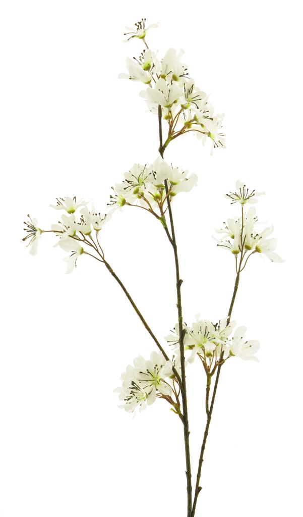 Tuberóza - Polianthes větev krémová 87 cm