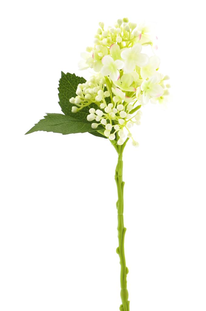 Hortenzie - Hydrangea větev krémová 38 cm
