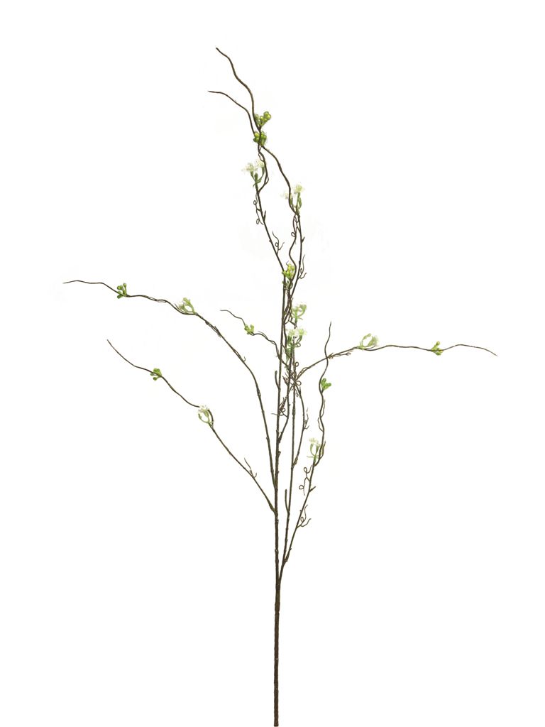 Indicum květouci krémový 98cm