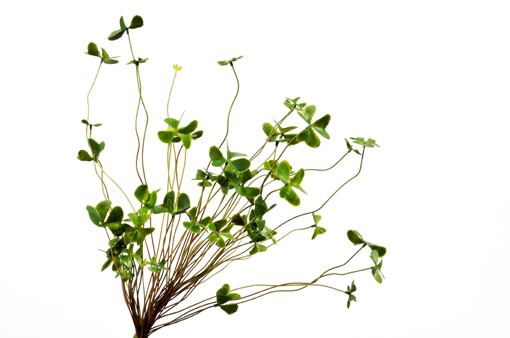 rostlina keř - plant bush zelený 46 cm