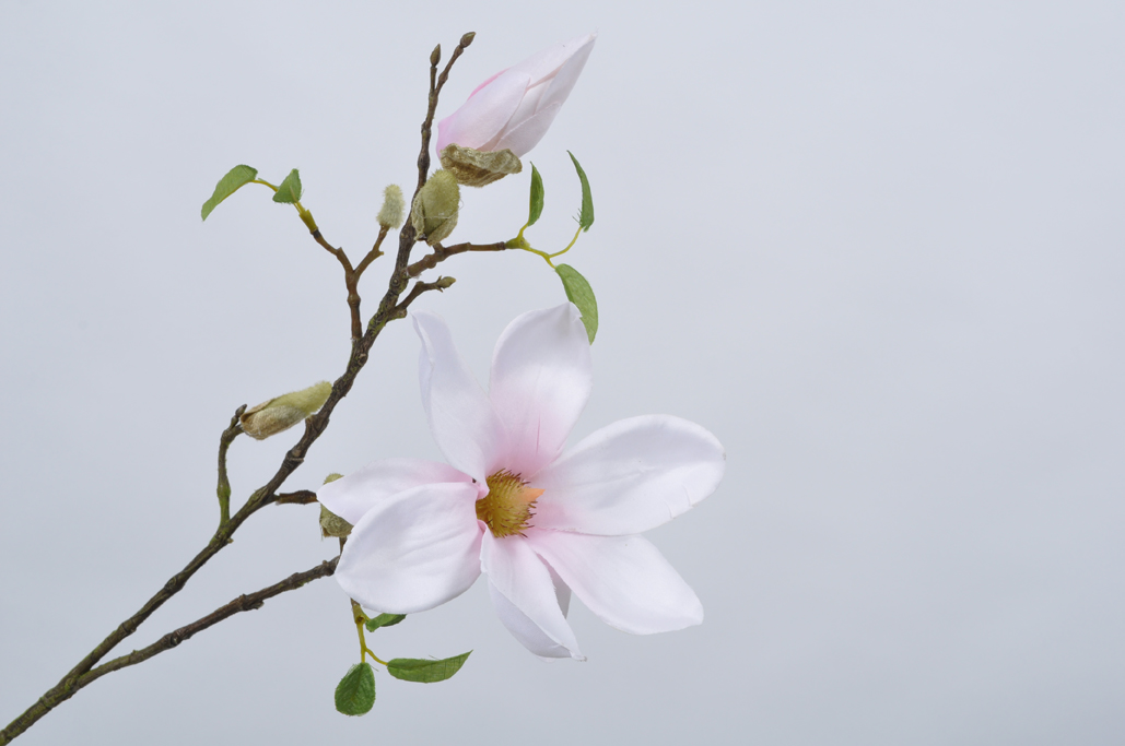 magnolie větev růžová 89 cm