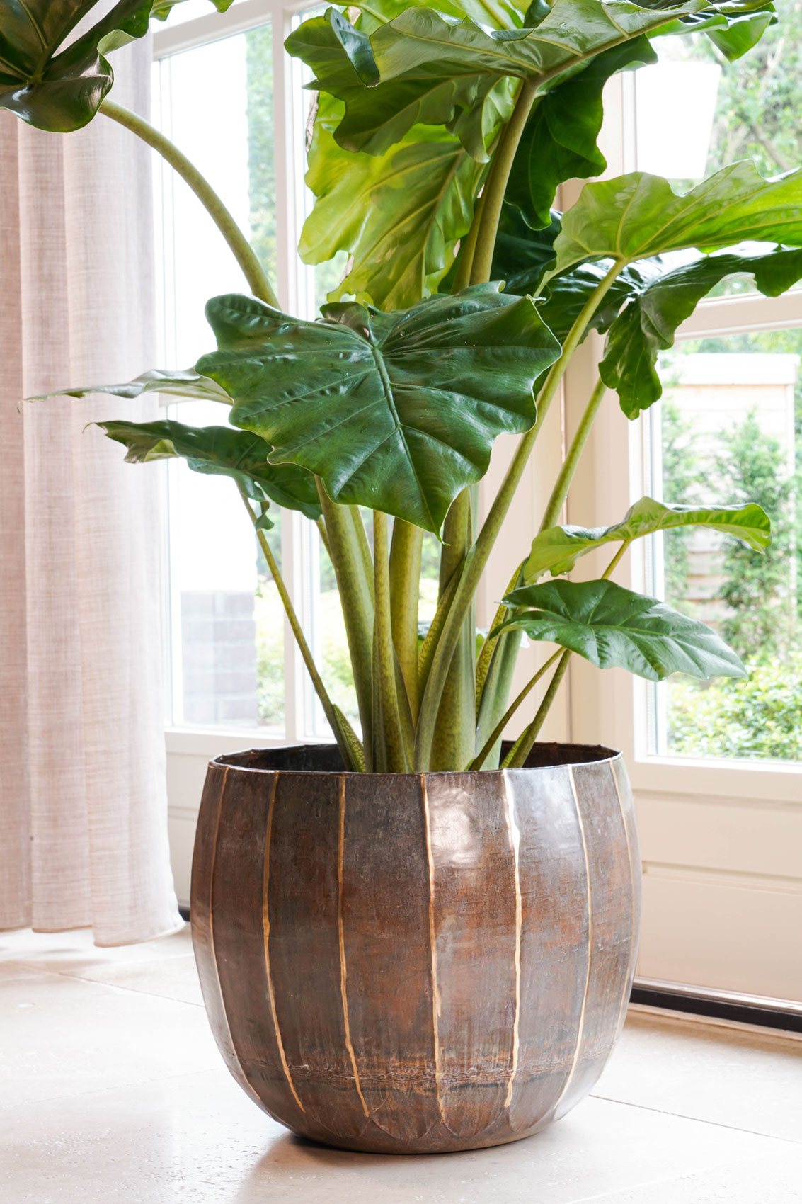 Obal 'Gusto' hnědý P39, V32 cm