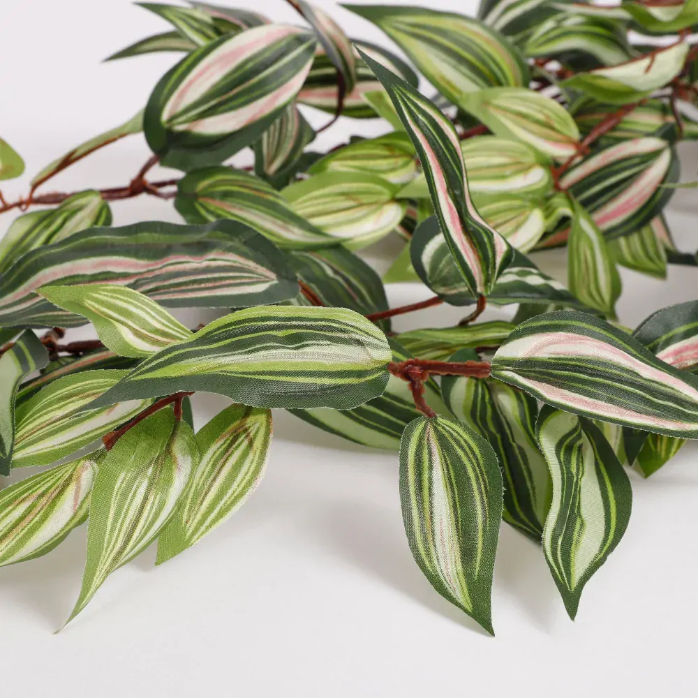 Voděnka - Tradescantia závěsná zelená D80, Š30, V15 cm (A953284)