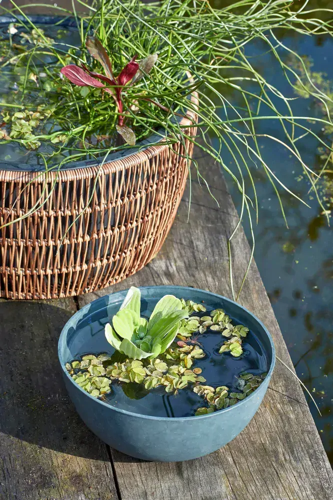Mísa 'Bravo' kulatá šedá povrchová úprava zinkem V12, P25 cm