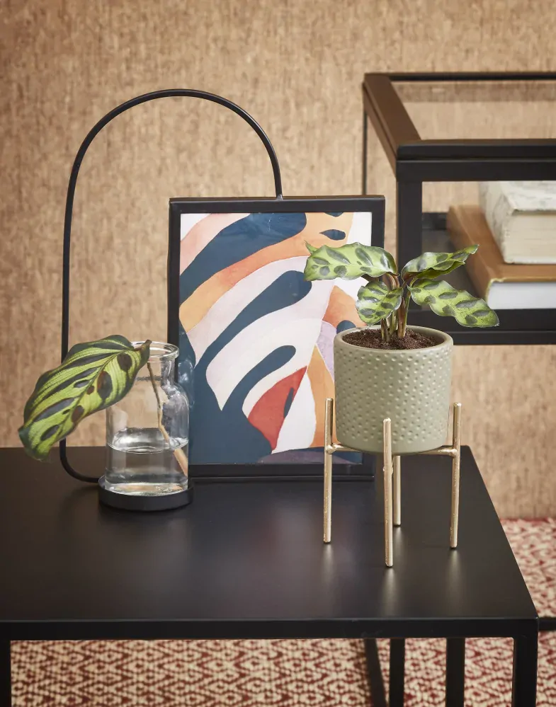 Držák na rostliny (na květináč) 'Scott) zlatý D11,5, Š11,5, V16 cm