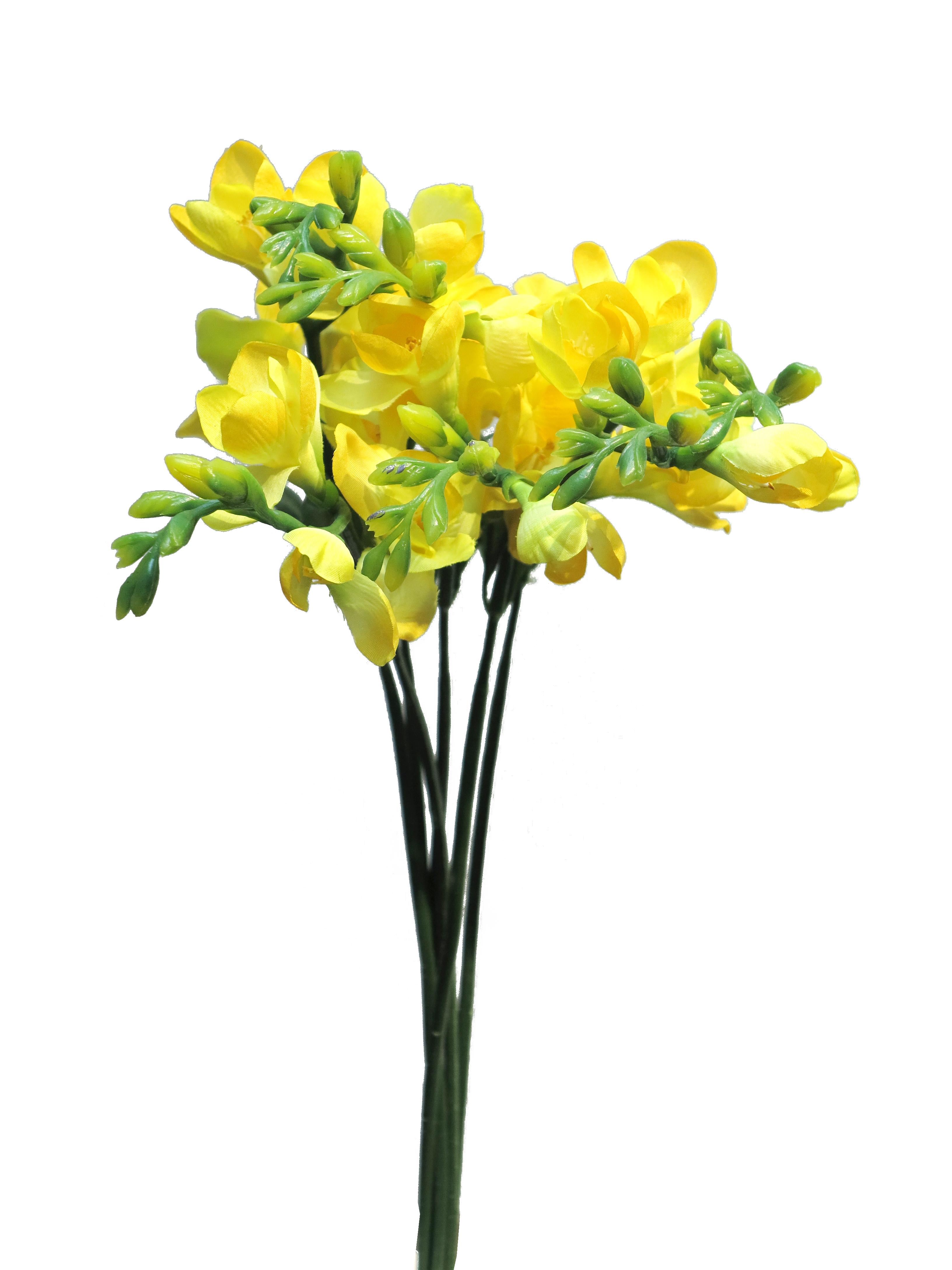 Frézie - Fresia 6x zlutá  46 cm