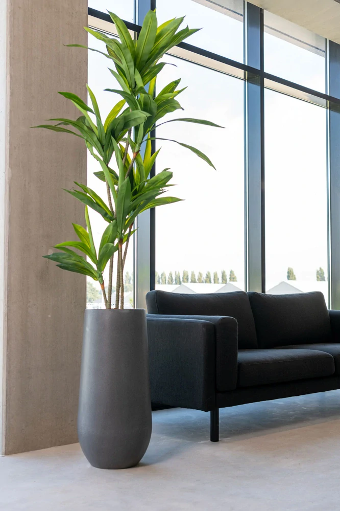 Obal 'Nax' M šedý V70, P35