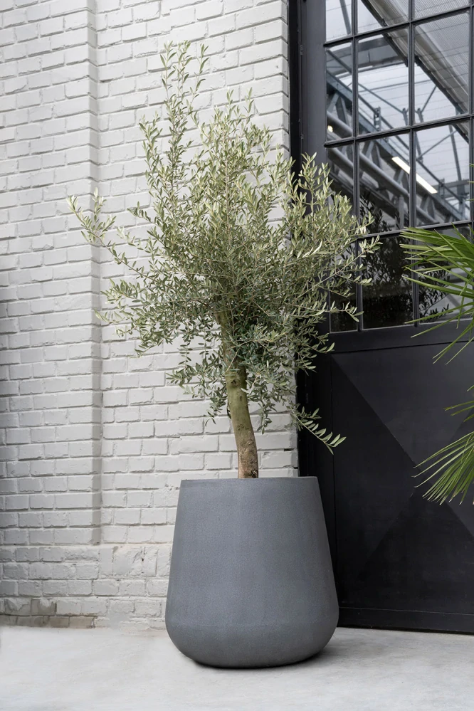 Obal 'Pax', XL šedý V67, P66 cm