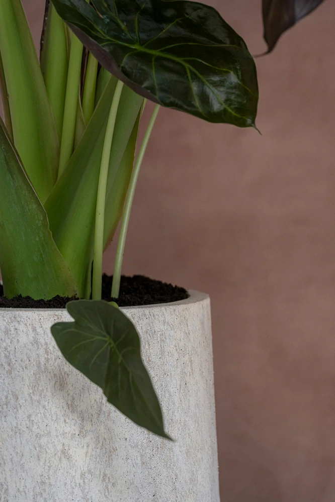 Obal 'Nax', L. béžový (Travertine beige) V100, P50 cm