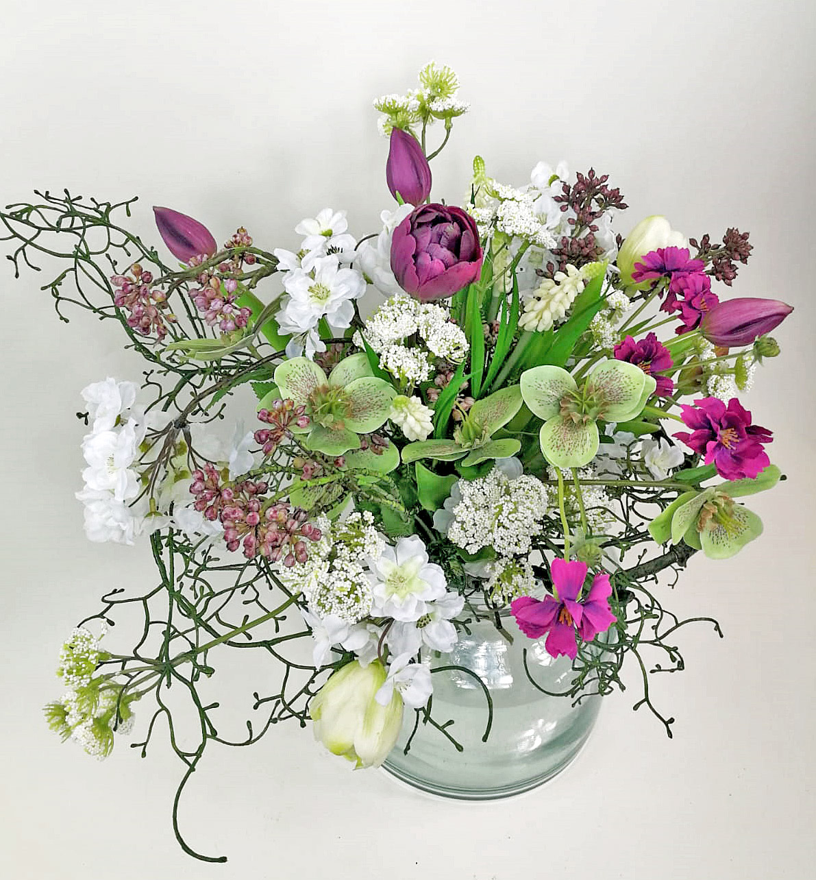 Chrpa - Centaurea Madelon Rabe x5 hnědá 45cm