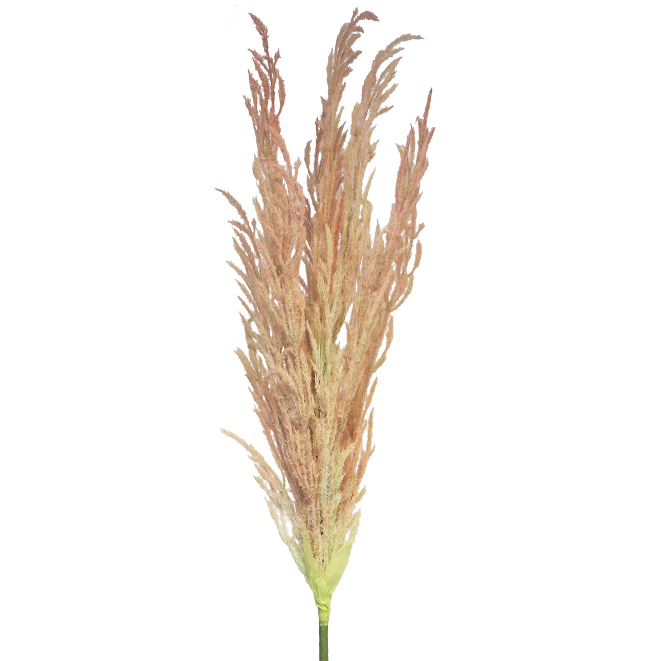 Rákos - Reed spray růžový V124 cm
