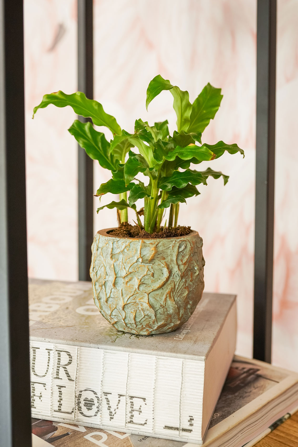 Obal vysoký 'Evi' antiq bronzový P31, V68 cm