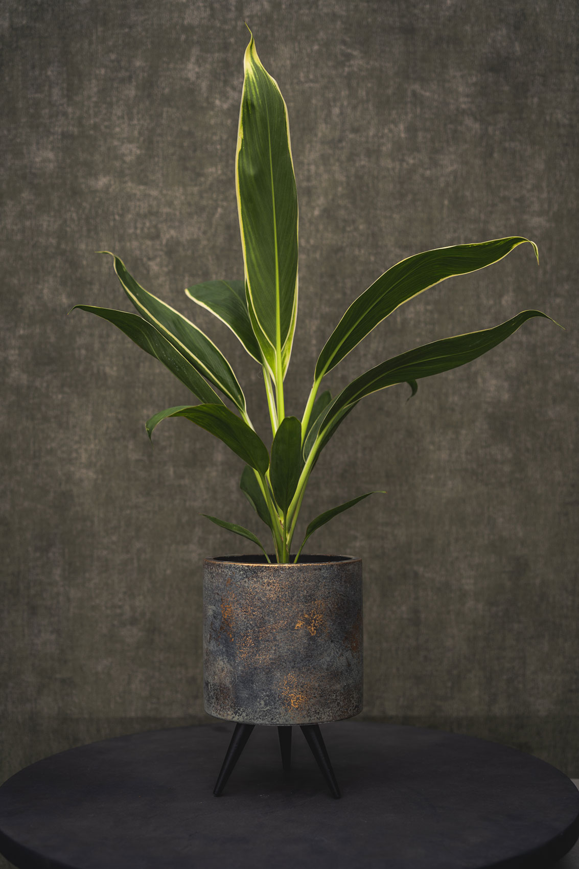 Obal 'Imre'  zelenohnědý (earth) P11, V17 cm