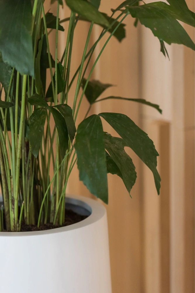 Obal 'Nax' , M , bílý (matt white) V70, P35 cm