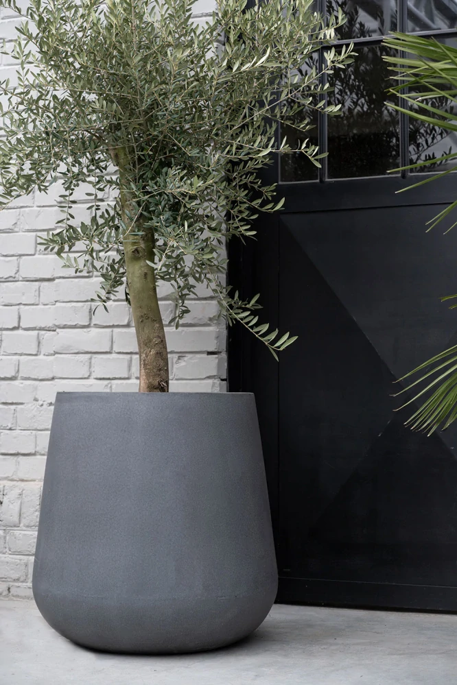 Obal 'Pax', XL šedý V67, P66 cm