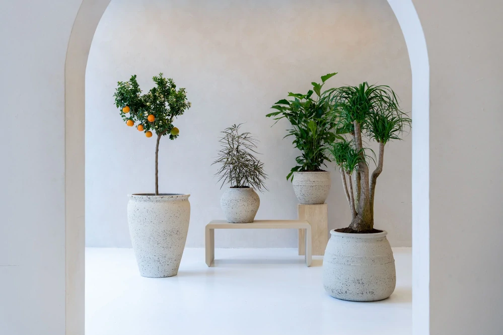 Obal 'Artemis' L bílý (chalk white( V68, P53 cm