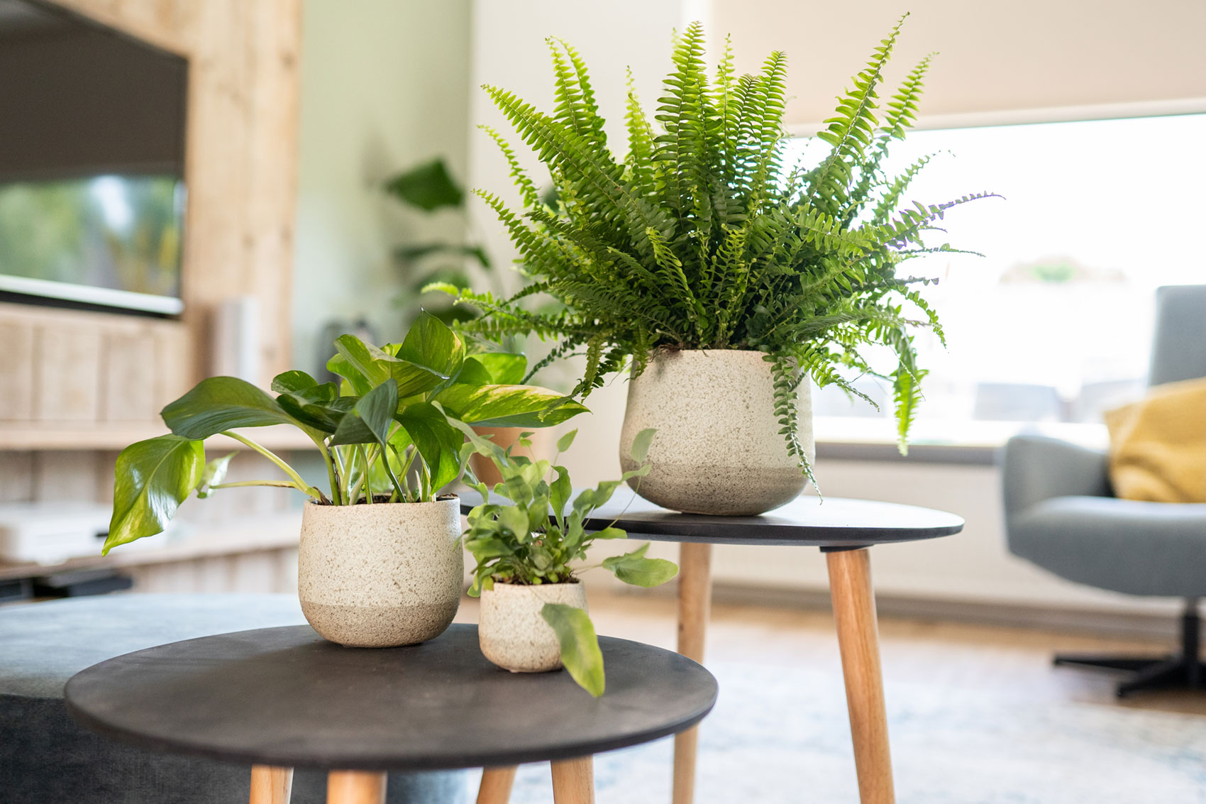 Stoleček 'Giedo' černý P45, V40 cm