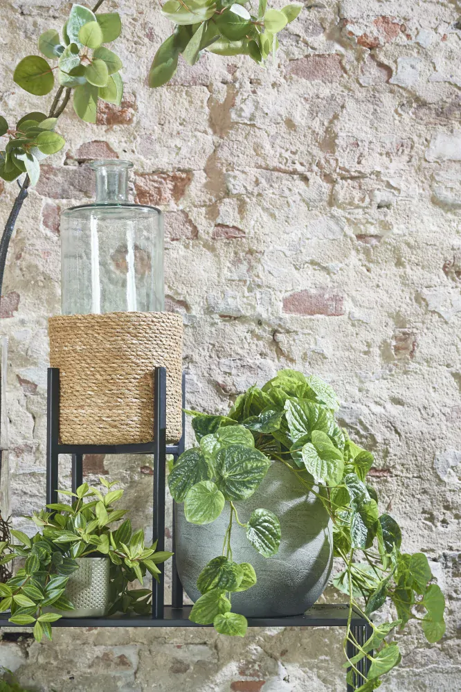 Láhev  Guan sklo transparantní V40, P15 cm 