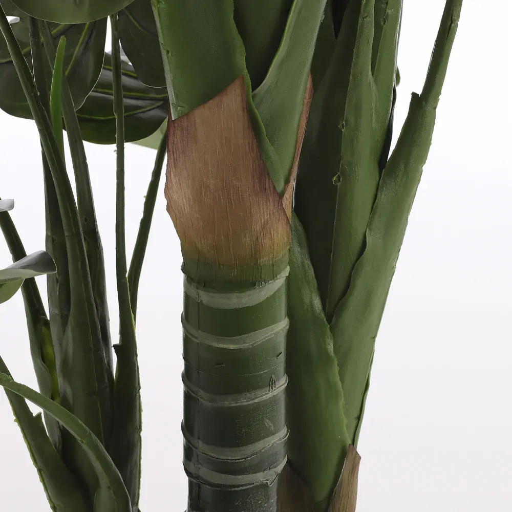 Monstera v květináči zelená V160, P80 cm