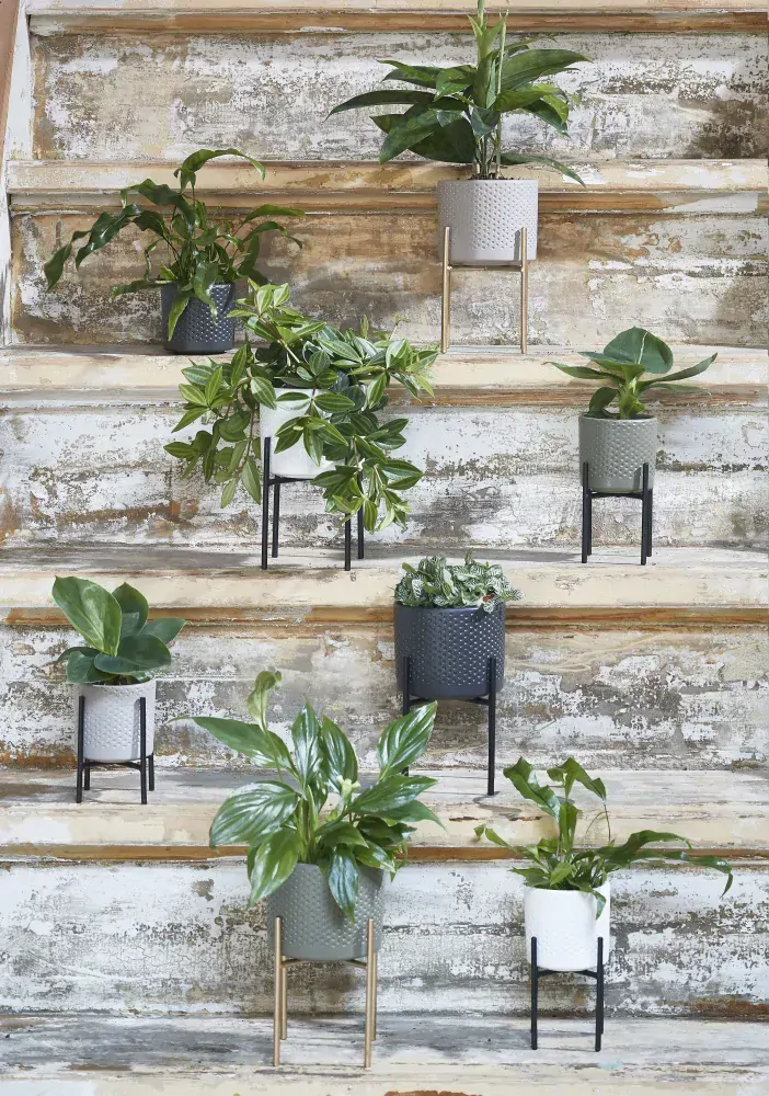 Držák na rostliny (na květináč) 'Scott  zlatý D12,5, P 11,5cm