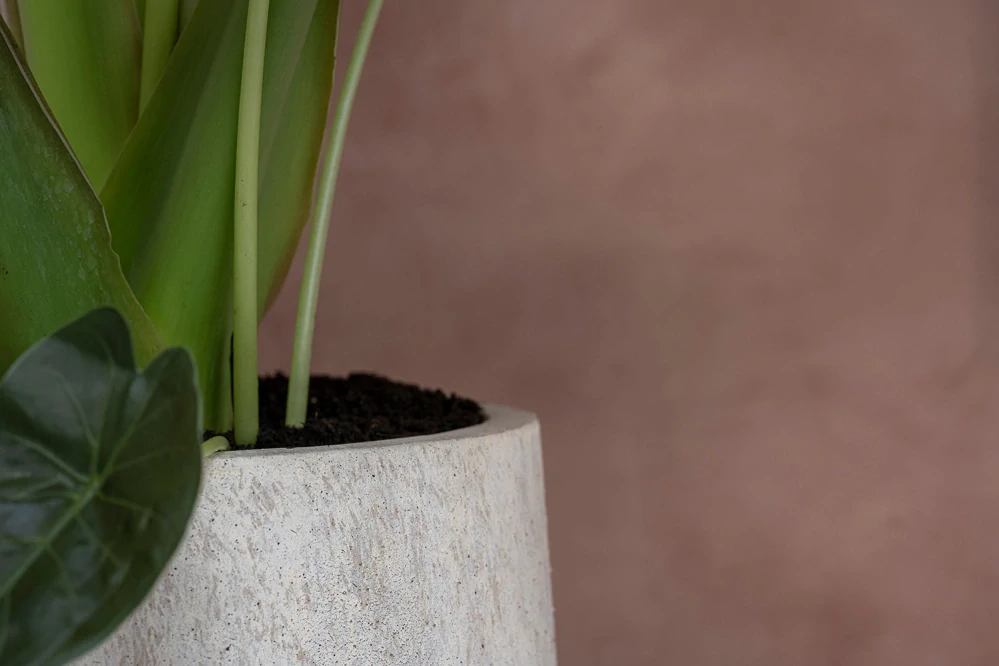 Obal 'Nax', L. béžový (Travertine beige) V100, P50 cm