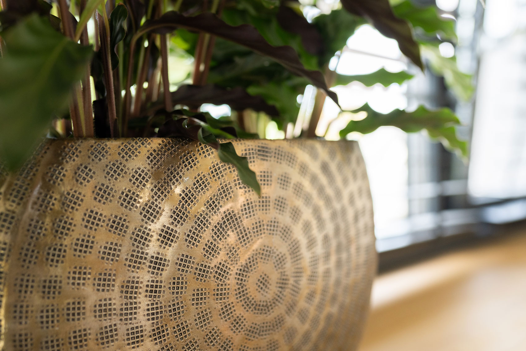 Obal (planter) 'Nynke' zlátý P39 x 18, V26 cm