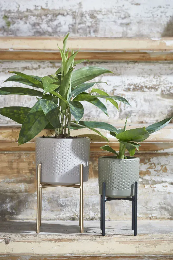 Držák na rostliny (na květináč) 'Scott  zlatý D12,5, P 11,5cm