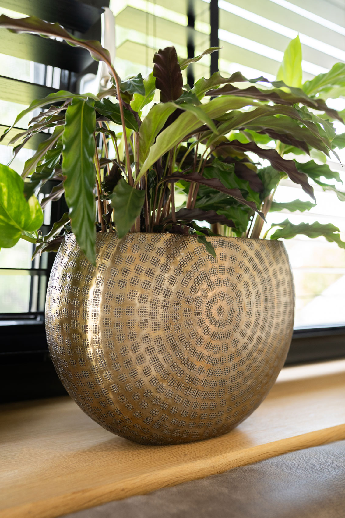 Obal (planter) 'Nynke' zlátý P47 x 21, V31 cm