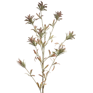 Javor (Acer) (větev/listy) spray růžový V119 cm