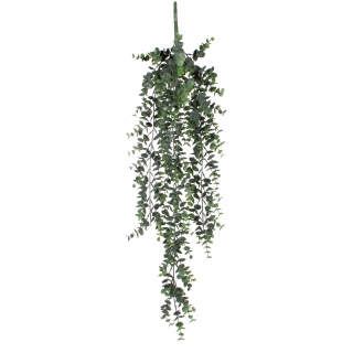 Eucalyptus hanging green 78cm