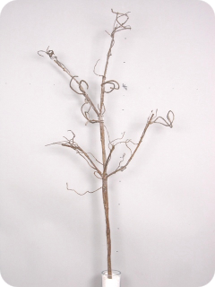 Flex twig branch hnědá 108 cm  (N905998)