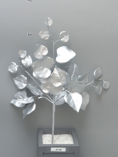 Xmas rose leaves pock silver