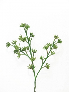 Zrno (seed) 'Eloy' zelené 57 cm